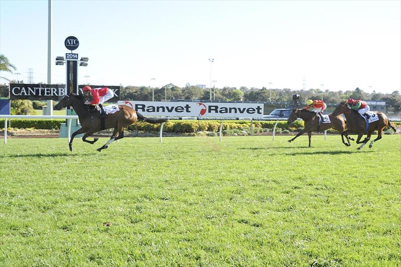 David Payne Racing - News