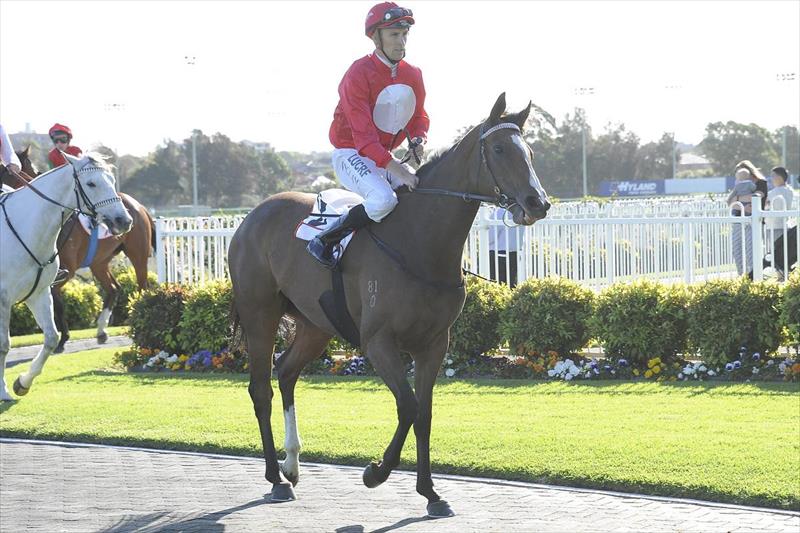 David Payne Racing - News
