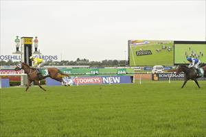 Criterion (NZ) first...daylight second